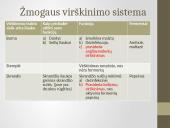 Žmogaus virškinimas, virškinimo sistema 18 puslapis