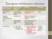 Žmogaus virškinimas, virškinimo sistema 19 puslapis