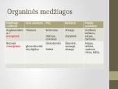 Žmogaus virškinimas, virškinimo sistema 3 puslapis