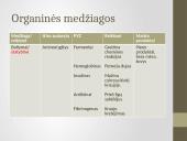 Žmogaus virškinimas, virškinimo sistema 4 puslapis