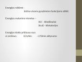 Žmogaus virškinimas, virškinimo sistema 5 puslapis