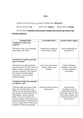 Interviu su klientu aprašas 2 puslapis