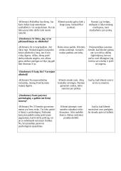 Interviu su klientu aprašas 4 puslapis