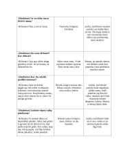 Interviu su klientu aprašas 5 puslapis