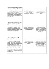 Interviu su klientu aprašas 7 puslapis