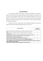 Interviu su klientu aprašas 8 puslapis