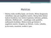 Didžioji zylė. Ekologinė niša 3 puslapis