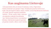 Lietuva ir Lietuvos geografija 7 puslapis