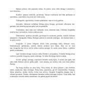 "Mažasis princas" apžvalga 2 puslapis