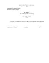 Įmonės dokumentų pavyzdžiai 2 puslapis