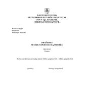 Įmonės dokumentų pavyzdžiai 8 puslapis