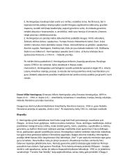 Hemingvėjaus "Atsisveikinimas su ginklais" apžvalga 5 puslapis