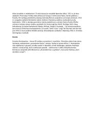 Hemingvėjaus "Atsisveikinimas su ginklais" apžvalga 6 puslapis