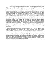 Tėvas lietuvių literatūroje (Antanas Škėma, Jonas Biliūnas) 2 puslapis