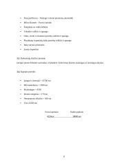 Verslo planas "Mobili plovykla" 8 puslapis