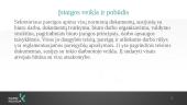 Ergonominė analizė sekretorės darbo vietai 2 puslapis