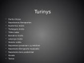 Napoleono karai 1805-1815 m. 2 puslapis