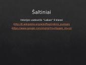 Napoleono karai 1805-1815 m. 17 puslapis