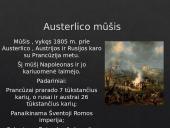 Napoleono karai 1805-1815 m. 6 puslapis