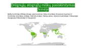 Drėgnieji atogrąžų miškai - tai produktyviausi miškai planetoje 2 puslapis