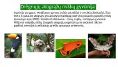 Drėgnieji atogrąžų miškai - tai produktyviausi miškai planetoje 11 puslapis
