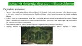 Drėgnieji atogrąžų miškai - tai produktyviausi miškai planetoje 13 puslapis
