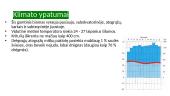 Drėgnieji atogrąžų miškai - tai produktyviausi miškai planetoje 3 puslapis