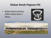 Baikerių apranga, vertybės bei klubai 12 puslapis