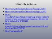 Baikerių apranga, vertybės bei klubai 14 puslapis