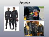 Baikerių apranga, vertybės bei klubai 8 puslapis