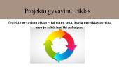 Projekto gyvavimo ciklas. Planavimo etapas 2 puslapis