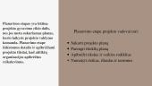 Projekto gyvavimo ciklas. Planavimo etapas 11 puslapis
