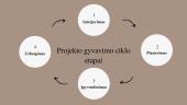 Projekto gyvavimo ciklas. Planavimo etapas 3 puslapis