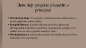 Projekto gyvavimo ciklas. Planavimo etapas 8 puslapis
