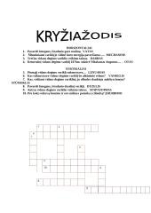 Fizikos kryžiažodis