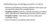 Radioaktyviojo skilimo dėsnis 3 puslapis