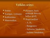 Plačiai apie Antaną Baranauską 2 puslapis