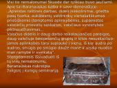 Plačiai apie Antaną Baranauską 12 puslapis