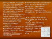 Plačiai apie Antaną Baranauską 16 puslapis