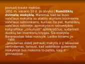 Plačiai apie Antaną Baranauską 5 puslapis