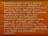 Plačiai apie Antaną Baranauską 8 puslapis