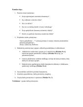 Informatikos pamokos planas: statistinių duomenų rinkimas ir tvarkymas 2 puslapis