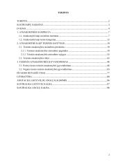 Atsakomybė kaip teisinis santykis 2 puslapis