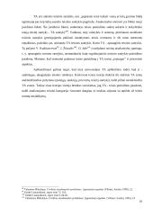 Atsakomybė kaip teisinis santykis 18 puslapis