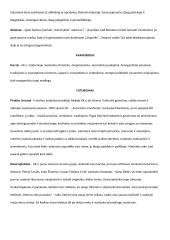 Modernizmas, jo bruožai, kryptys bei atstovai 2 puslapis