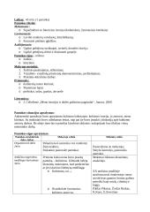 Išplėstinis dailės pamokos planas: futurizmas 2 puslapis