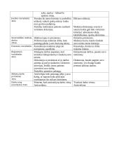 Išplėstinis dailės pamokos planas: futurizmas 4 puslapis