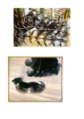 Išplėstinis dailės pamokos planas: futurizmas 6 puslapis