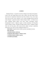 Dolomito sudėtis, panaudojimas bei gavyba 3 puslapis