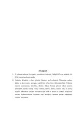 Dolomito sudėtis, panaudojimas bei gavyba 9 puslapis